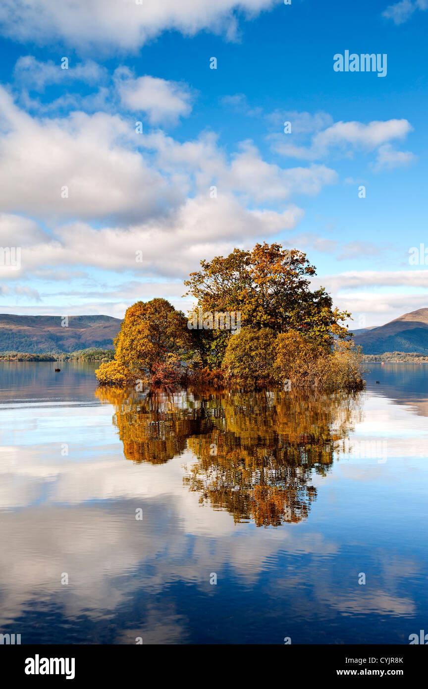 Im Herbst leuchtet die Bäume am Loch Lomond von den Ufern des Milarrochy Bay aus gesehen Stockfoto