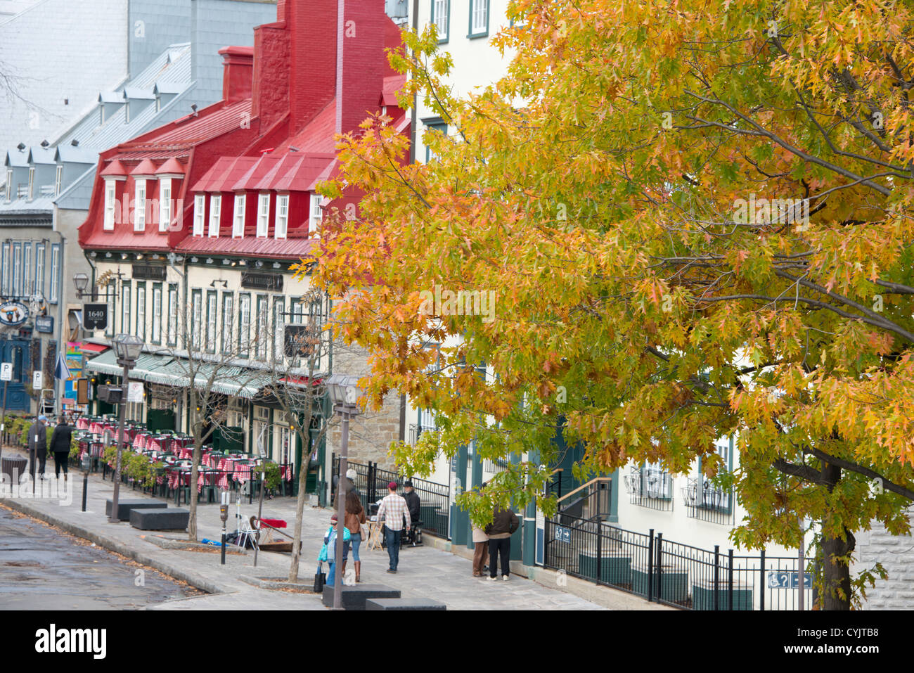 Kanada, Québec, Québec (Stadt). Quebec Altstadt (oben) mit Herbst Baum. Stockfoto