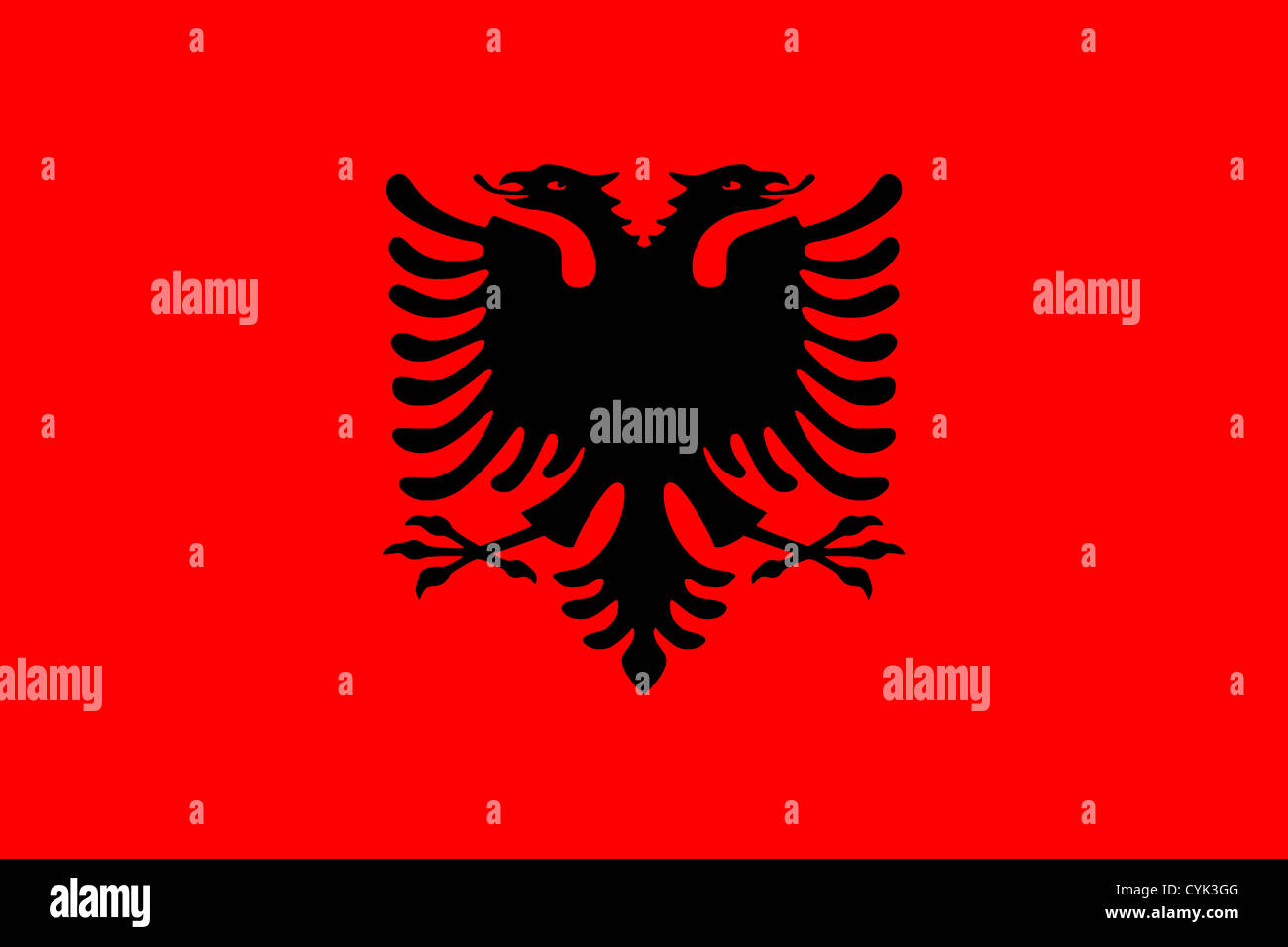 Nationalflagge der Republik Albanien. Stockfoto