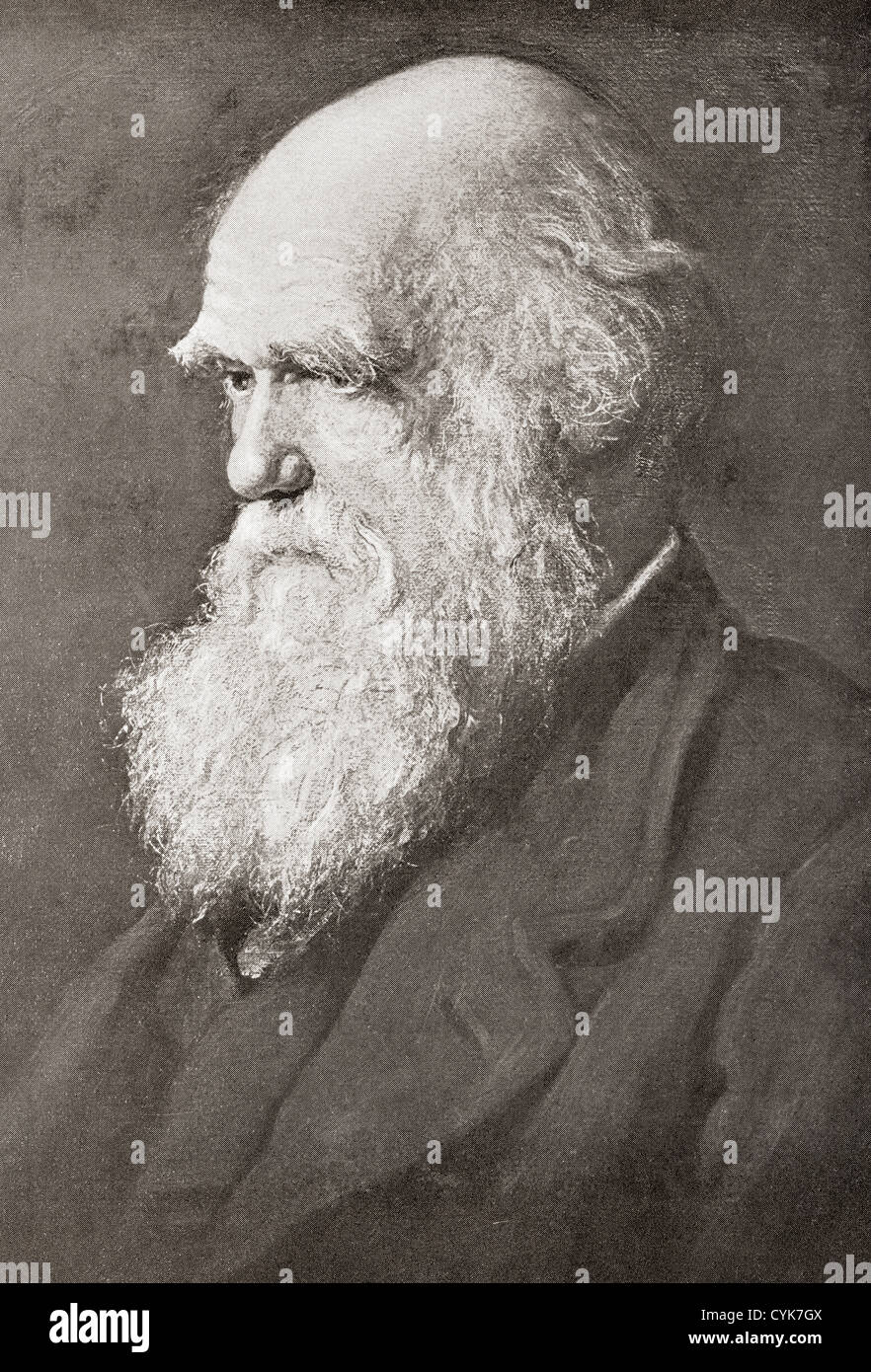 Charles Robert Darwin, 1809-1882. Englische Naturforscher und Schriftsteller. Stockfoto