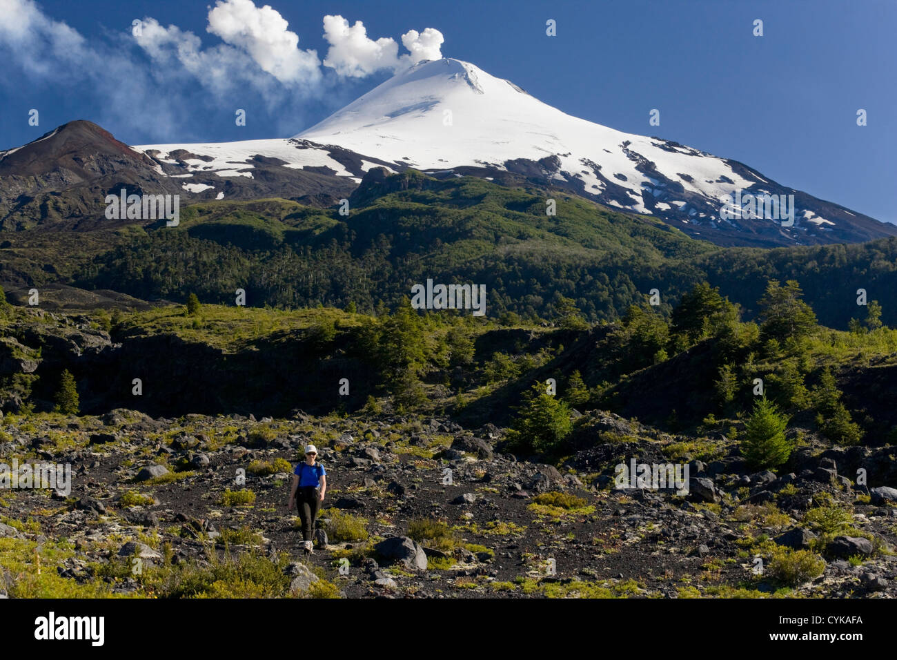 Nationalpark Villarrica, Chile. SüdAmerika. Frau Wanderer auf aktive