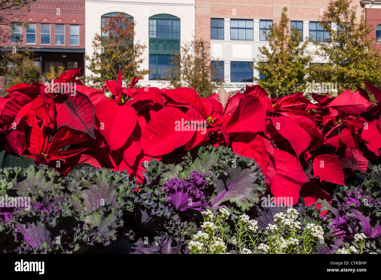 Weihnachtsdekorationen in der Market Street in The Woodlands, Texas. Stockfoto