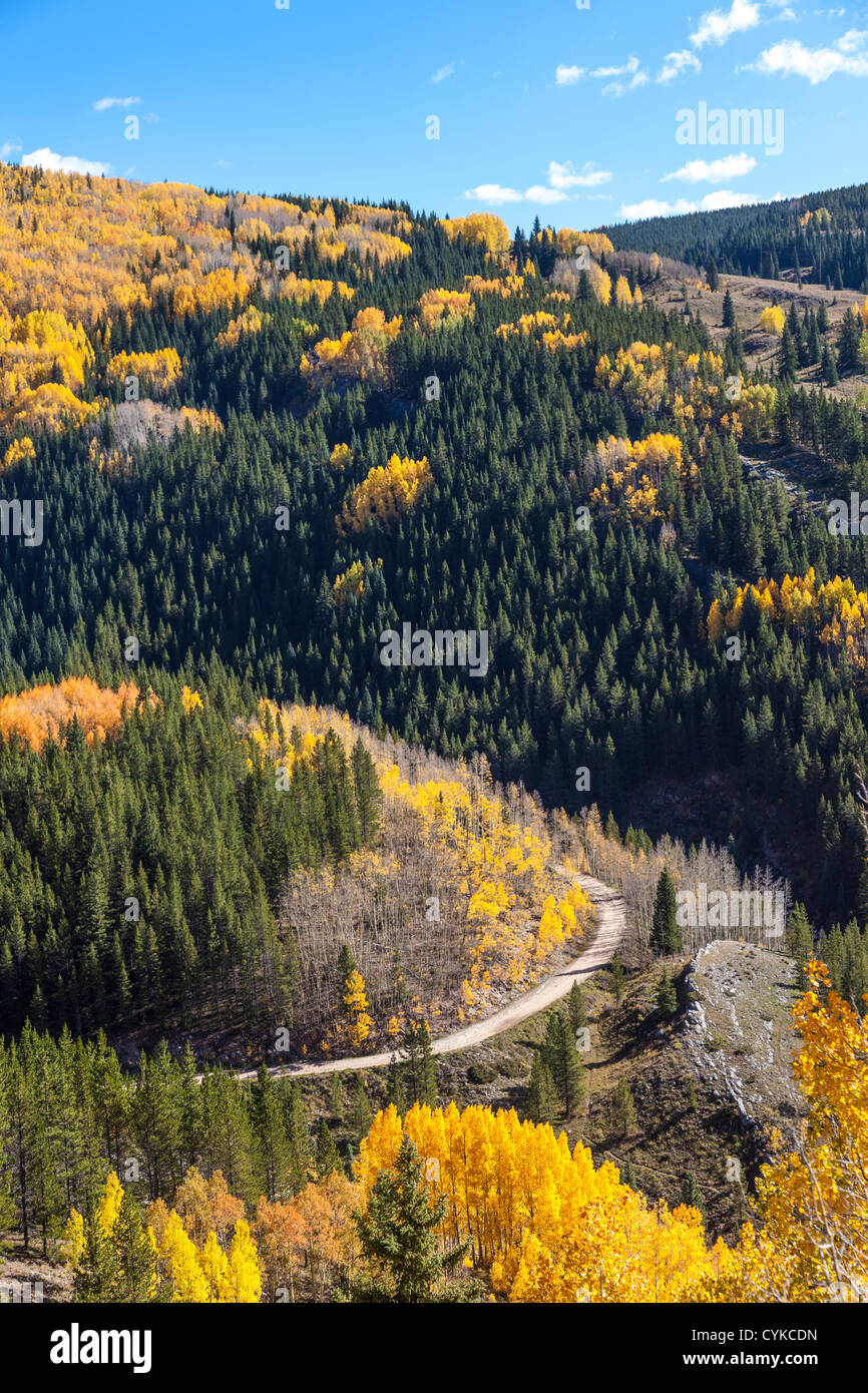 Herbstfarbe in Aspen Bäumen entlang US 550, bekannt als der "Million Dollar Highway" im historischen "Lime Creek Burn" Gebiet in Colorado. Stockfoto