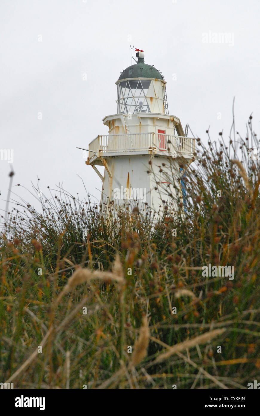 Nugget Point Lighthouse. Region Otago, Südinsel, Neuseeland Stockfoto