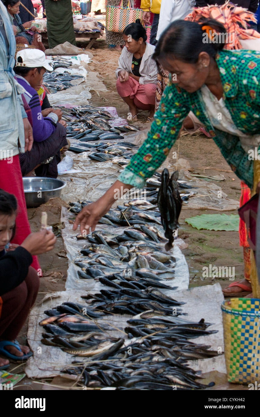 Myanmar, Burma. Birmanischen Frauen kaufen Fisch in "Five-Day"-Markt, Inle-See, Shan-Staat. Stockfoto