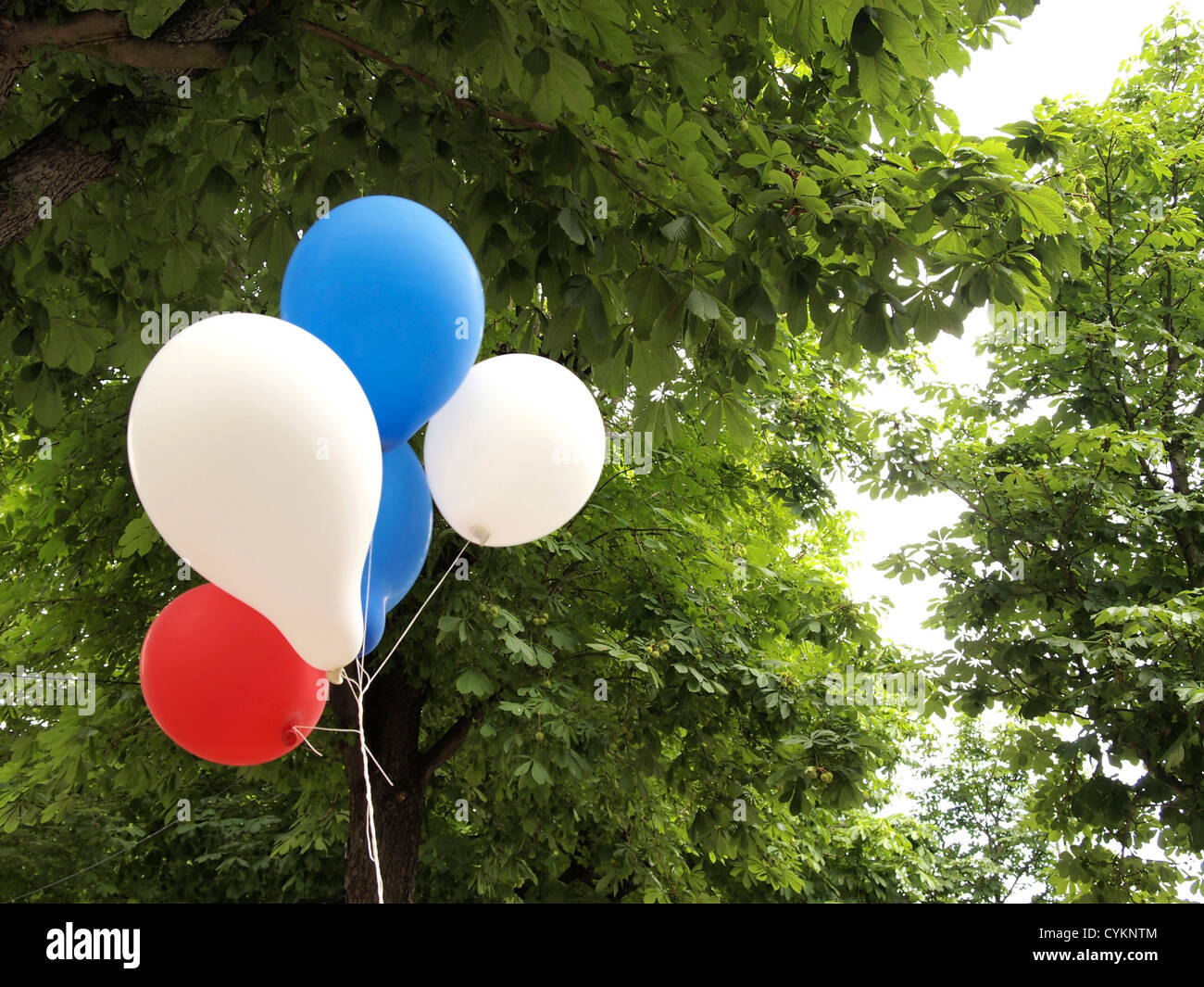 Luftballons - rot, weiß und blau Stockfoto