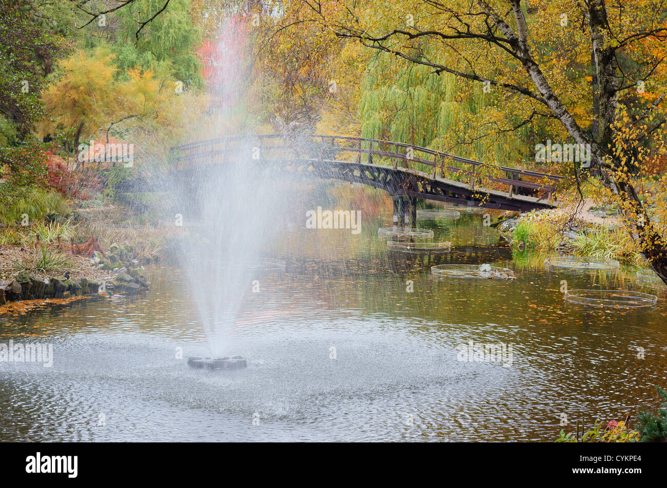 Botanischer Garten Breslau im bunten Herbstlaub Stockfoto