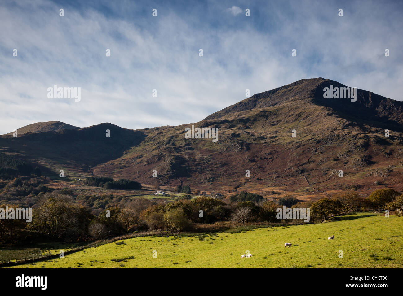 MOEL Hebog Beddgelert, Snowdonia-Nationalpark, Gwynedd, Wales Stockfoto