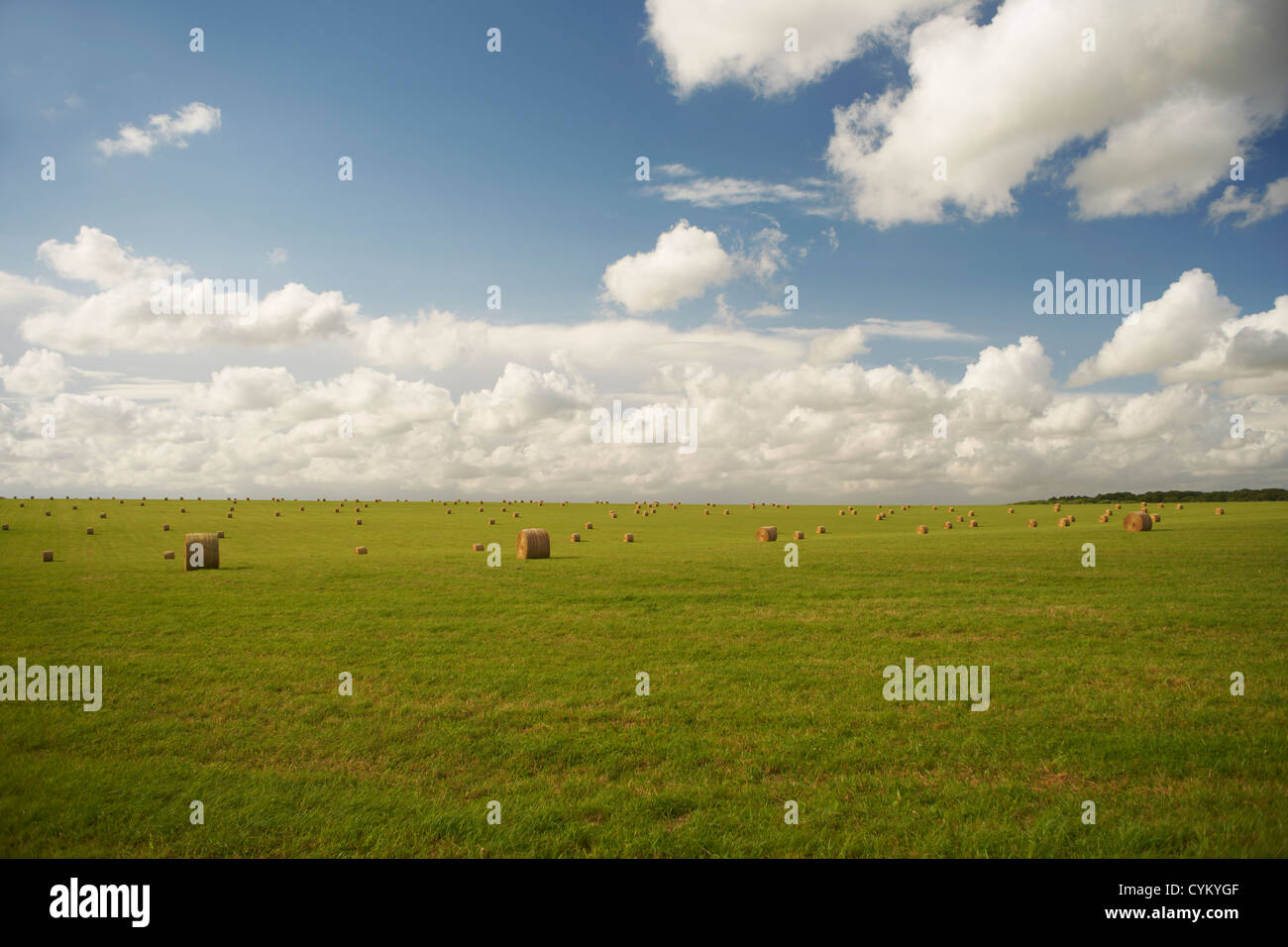 Heuballen im ländlichen Ernte Feld Stockfoto