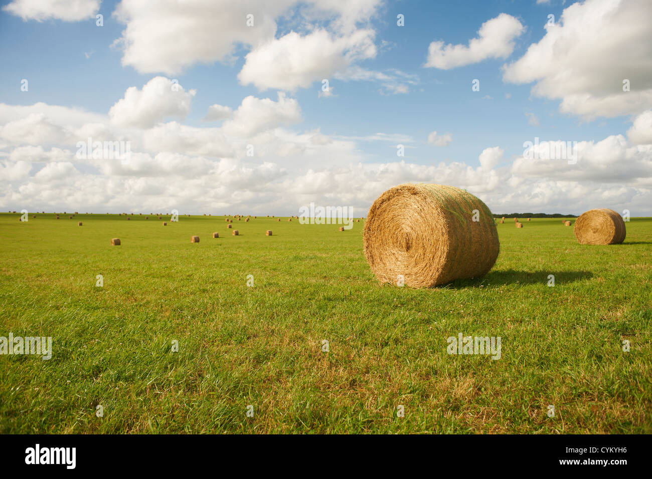 Heuballen im ländlichen Ernte Feld Stockfoto
