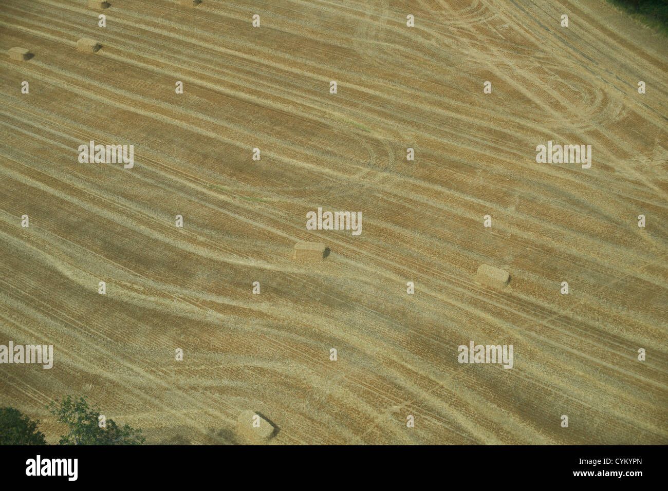 Luftaufnahme des Traktors in Ernte Feld Stockfoto