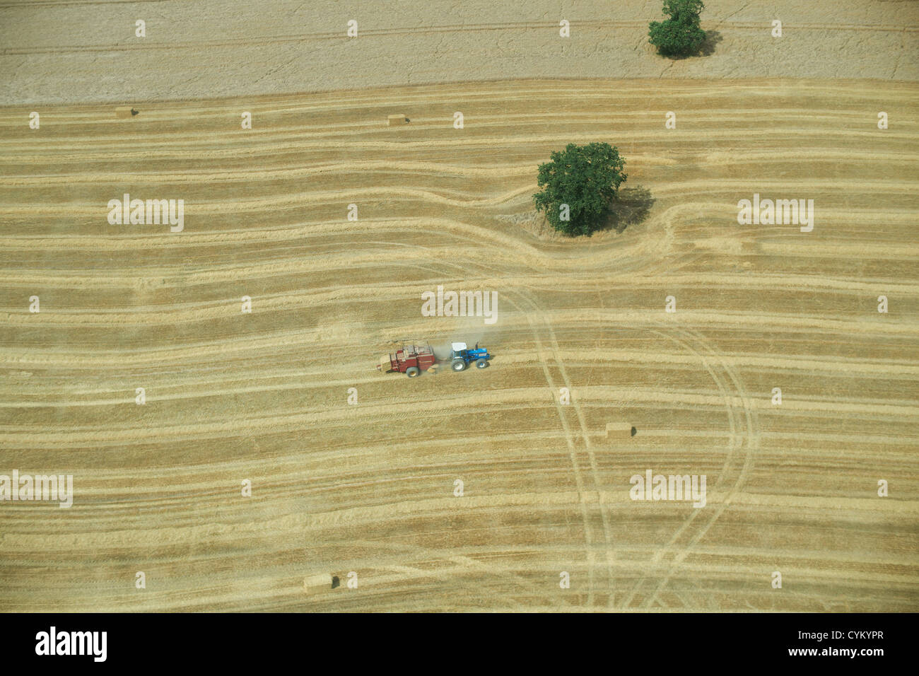 Luftaufnahme des Traktors in Ernte Feld Stockfoto