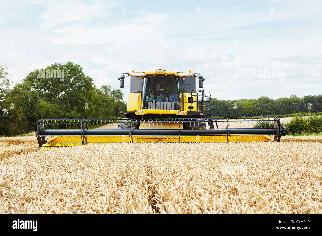 Erntemaschinen im Ernte-Bereich tätig Stockfoto