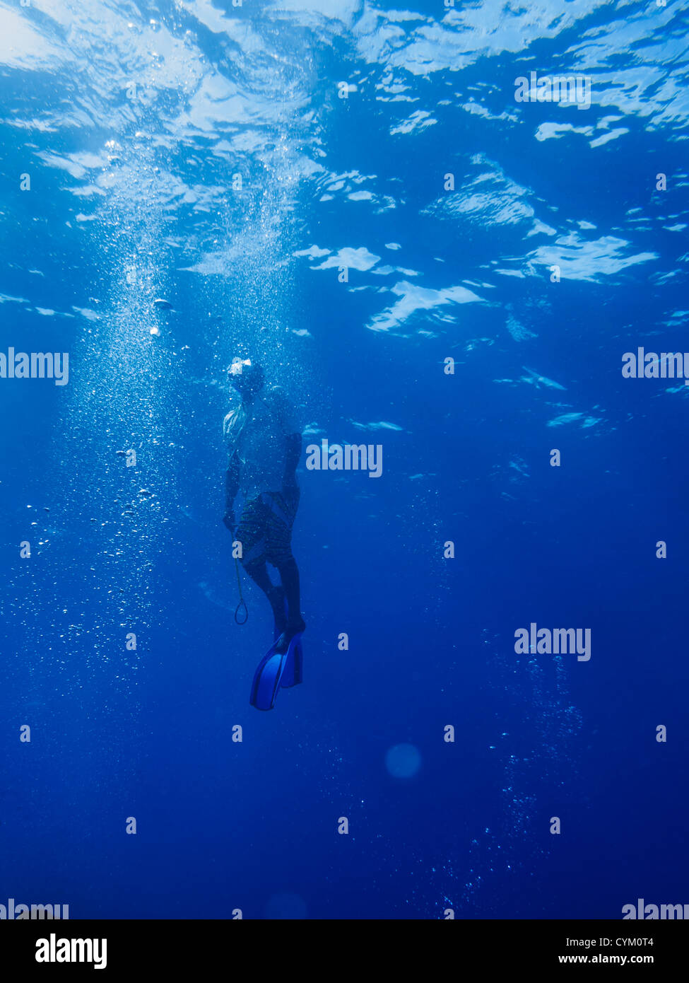 Hauttaucher schwimmt an die Oberfläche Stockfoto