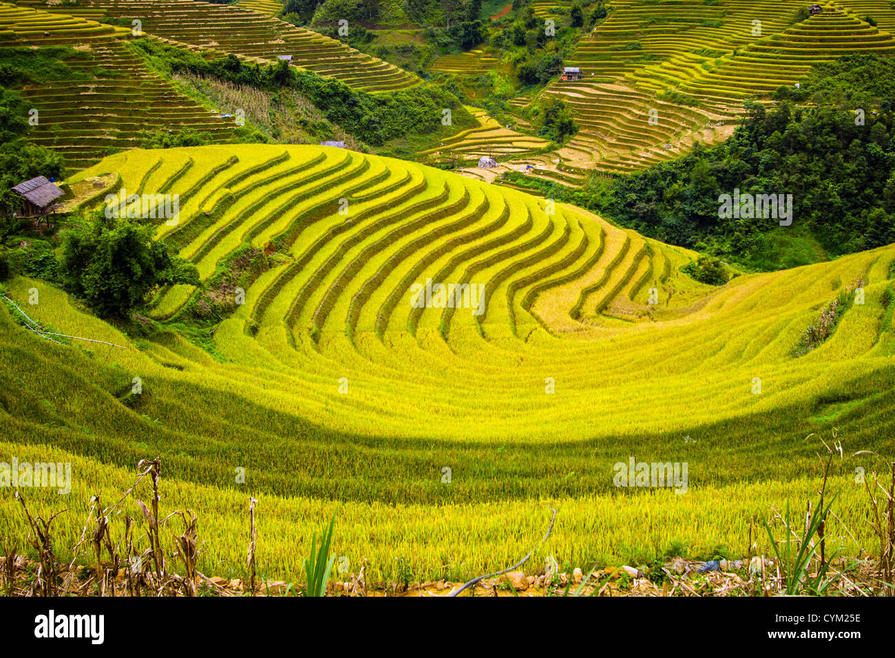 La Pan Tan Gemeinde, Yen Bai Provinz, Vietnam Stockfoto