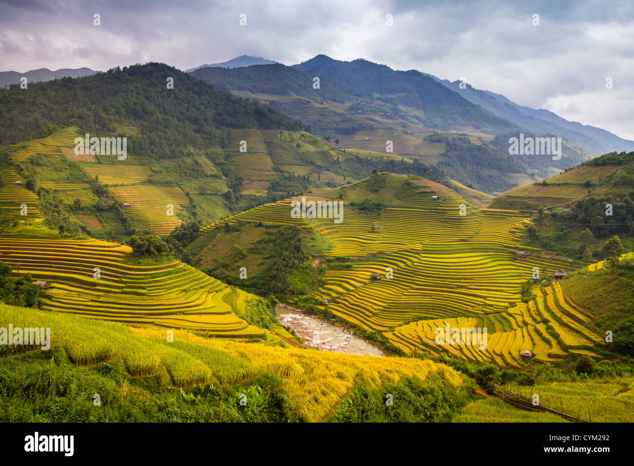 Reis-Terrassen von Hmong ethnische Minderheit im Nordwesten bergigen Gegend von Vietnam Stockfoto
