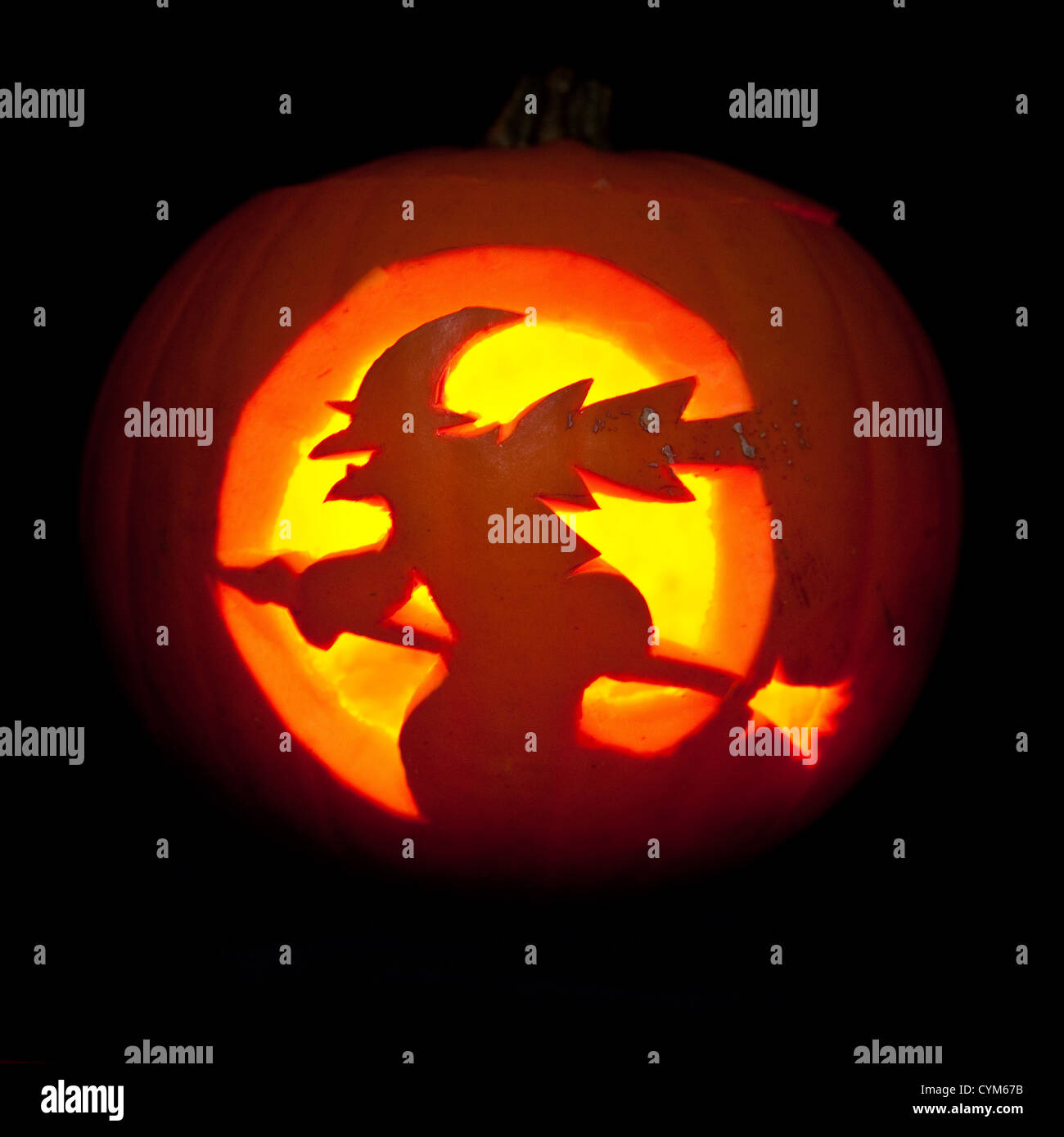 Hexe auf einem Besen Halloween Kürbis Laterne geschnitzt. Stockfoto