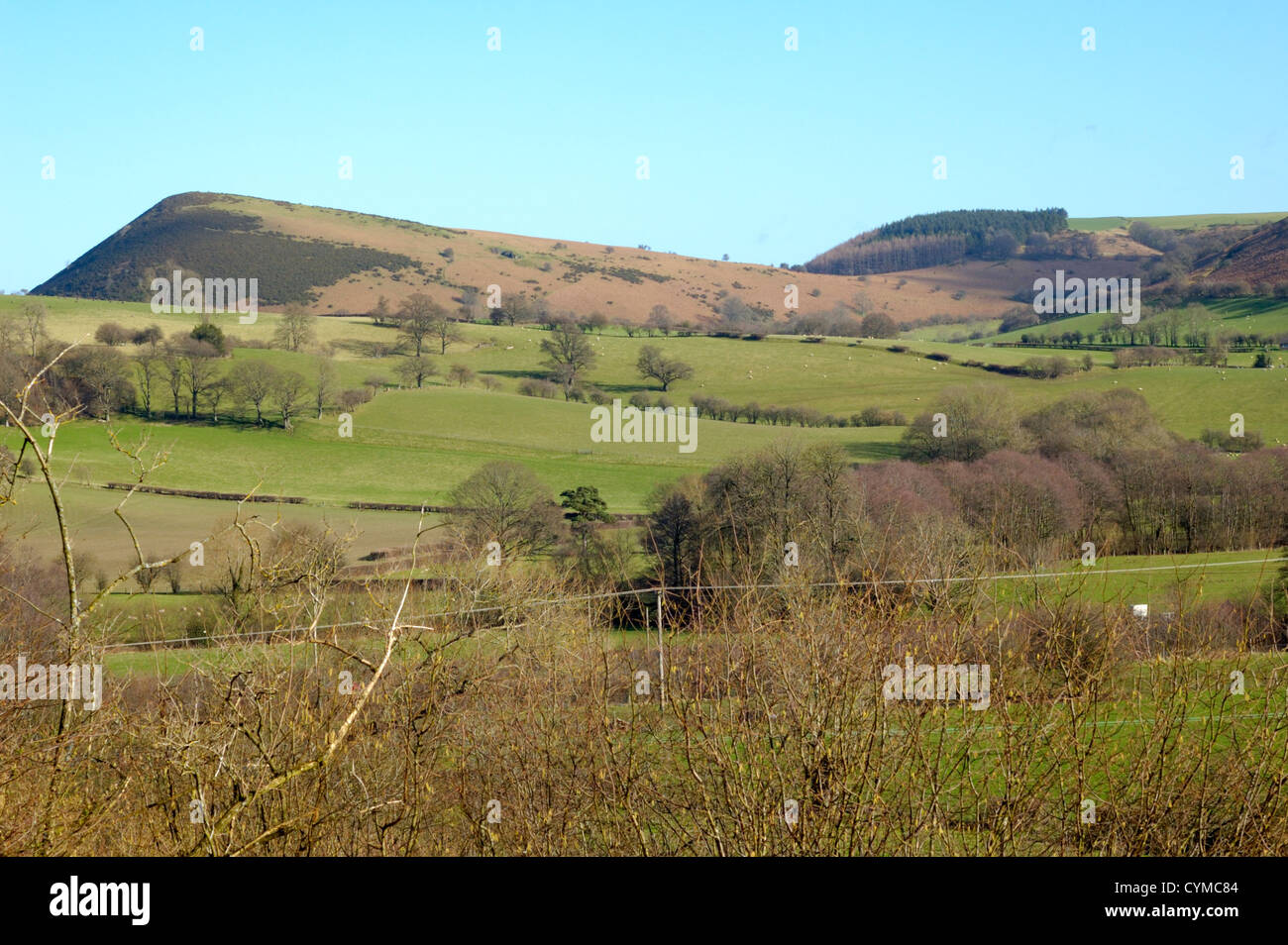 Herrock Hügel aus Worsell Holz Stockfoto