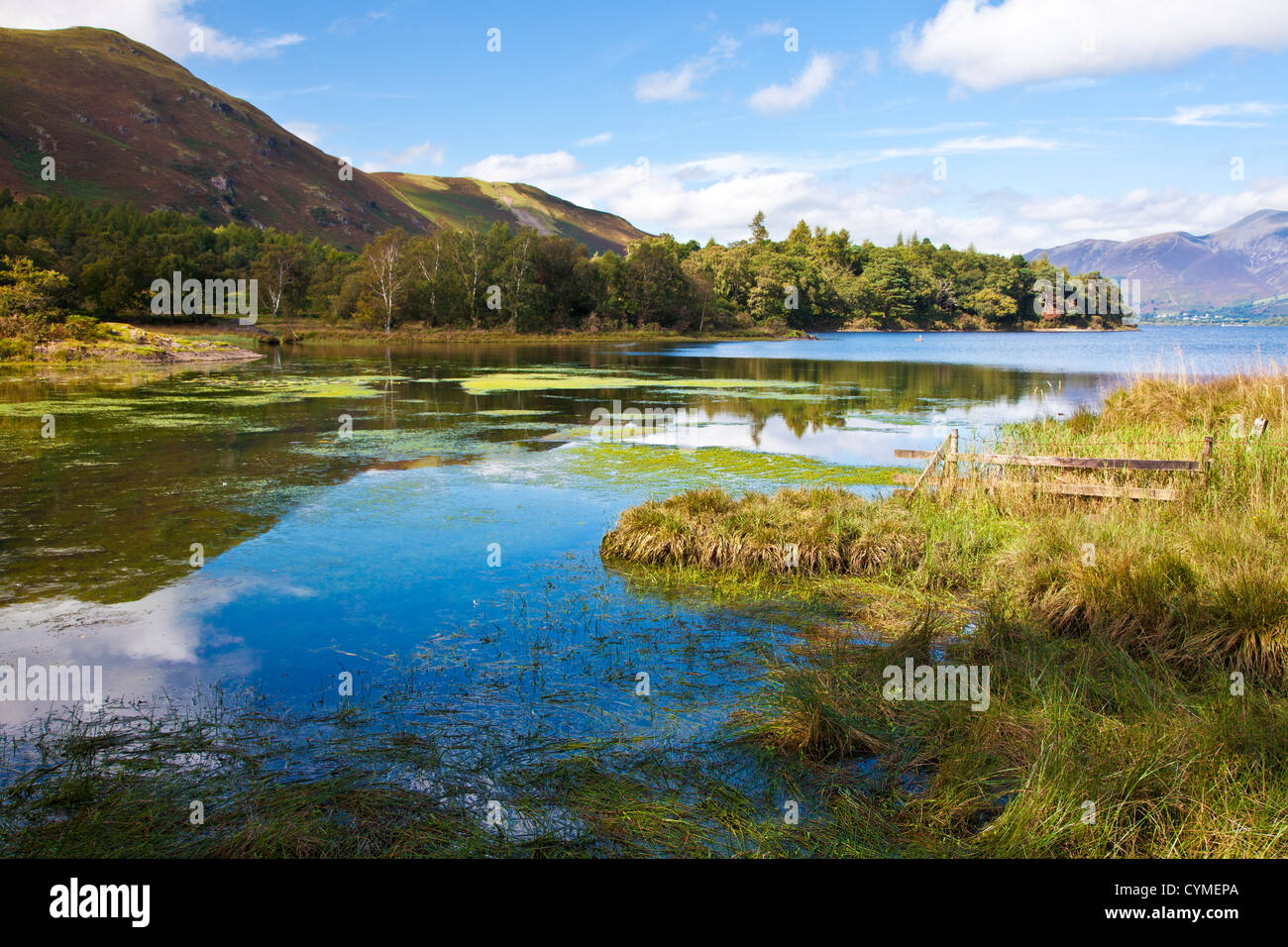 Der Leiter des Derwent Water in der Nähe von Grange in den Lake District, Cumbria, England, UK Stockfoto