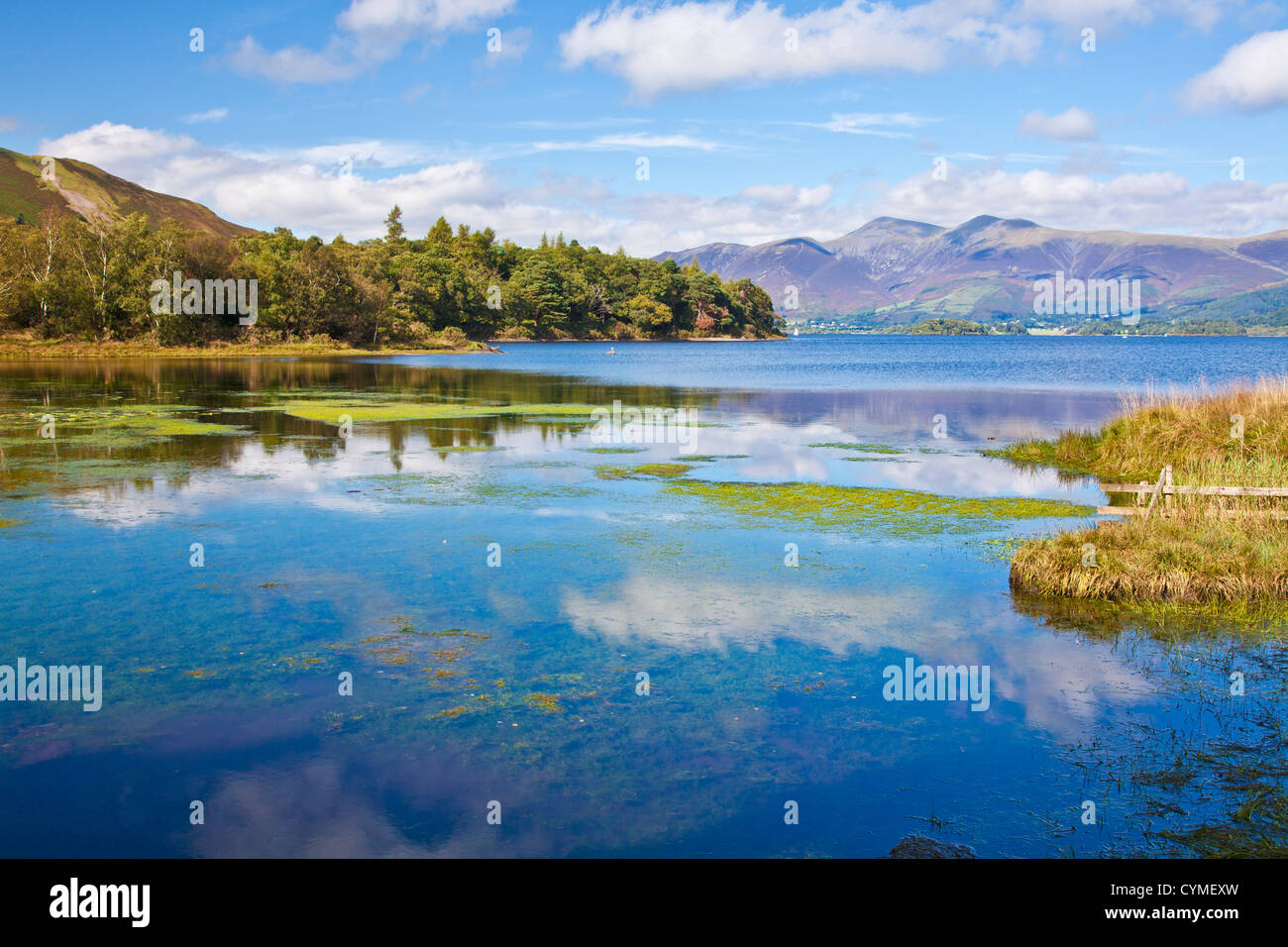 Der Leiter des Derwent Water in der Nähe von Grange in den Lake District, Cumbria, England, UK Stockfoto