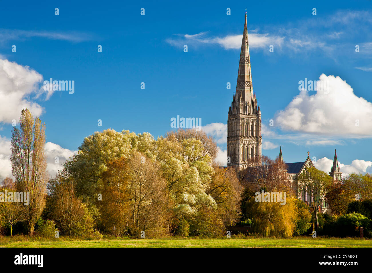Ein Herbst Blick auf den Turm der mittelalterlichen Kathedrale von Salisbury, Wiltshire, England, UK über den Harnham Strandwiesen. Stockfoto