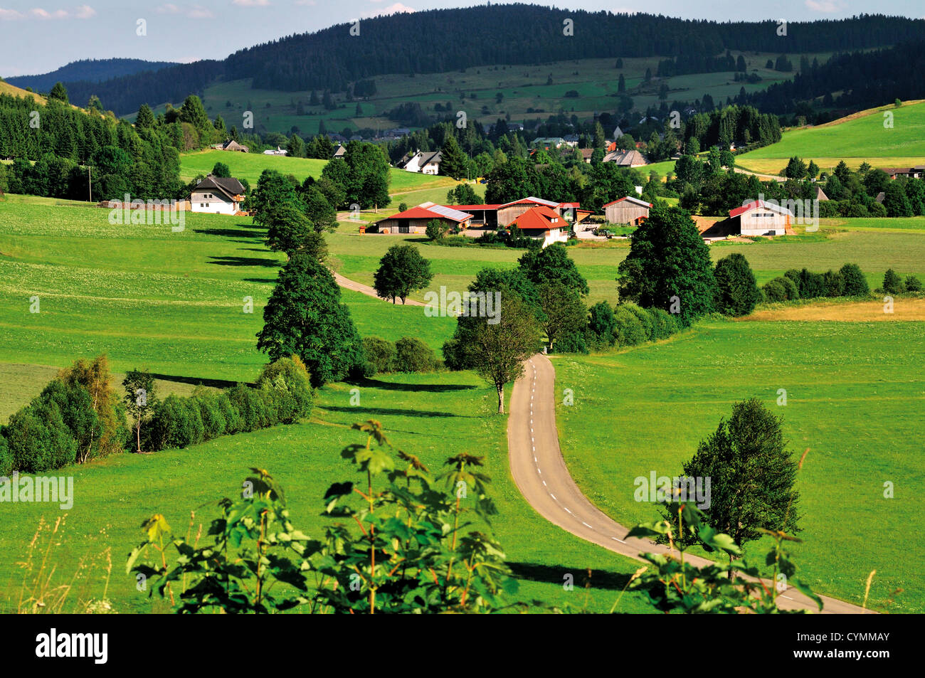 Deutschland, Schwarzwald: Typisches Dorf im Hochland Bernau Stockfoto