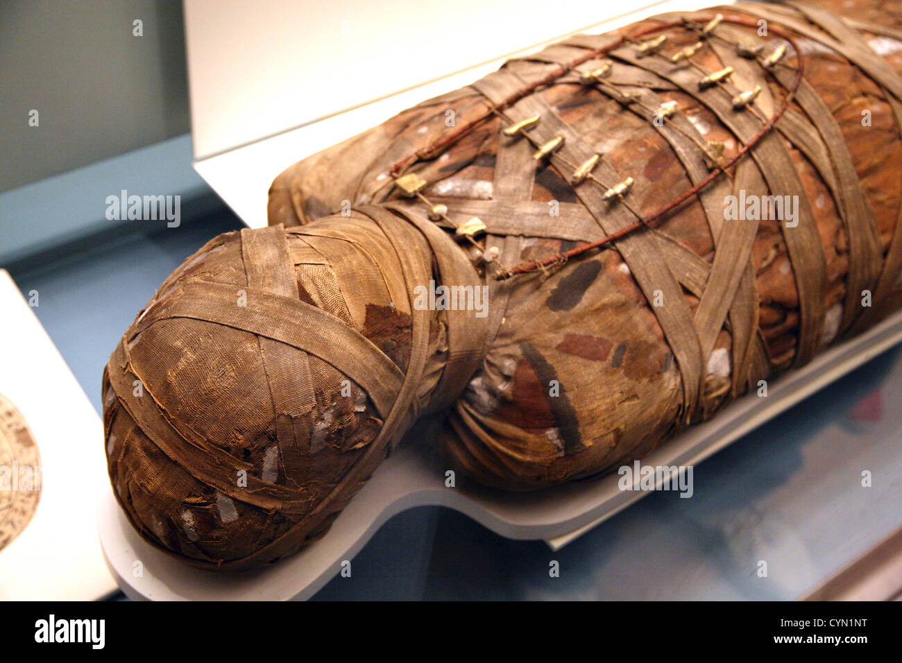 ägyptische Mumie im britischen museum Stockfoto, Bild: 51478836 - Alamy
