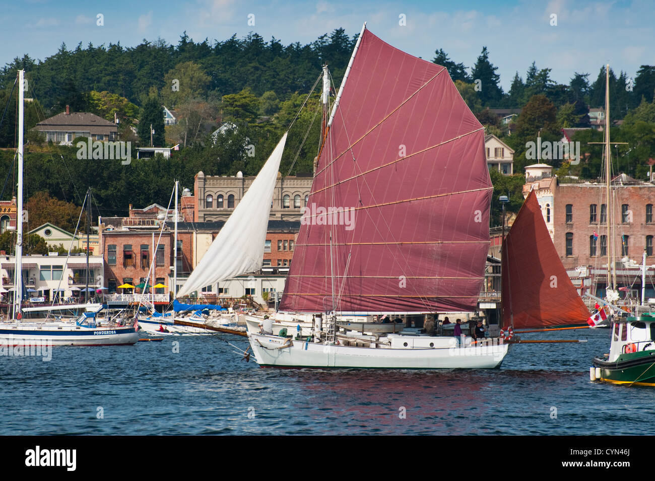 Eine Vielzahl von Segelbooten aus Holz sammeln für das Port Townsend Holzboot-Festival in dieser historischen Hafenstadt im US-Bundesstaat Washington Stockfoto