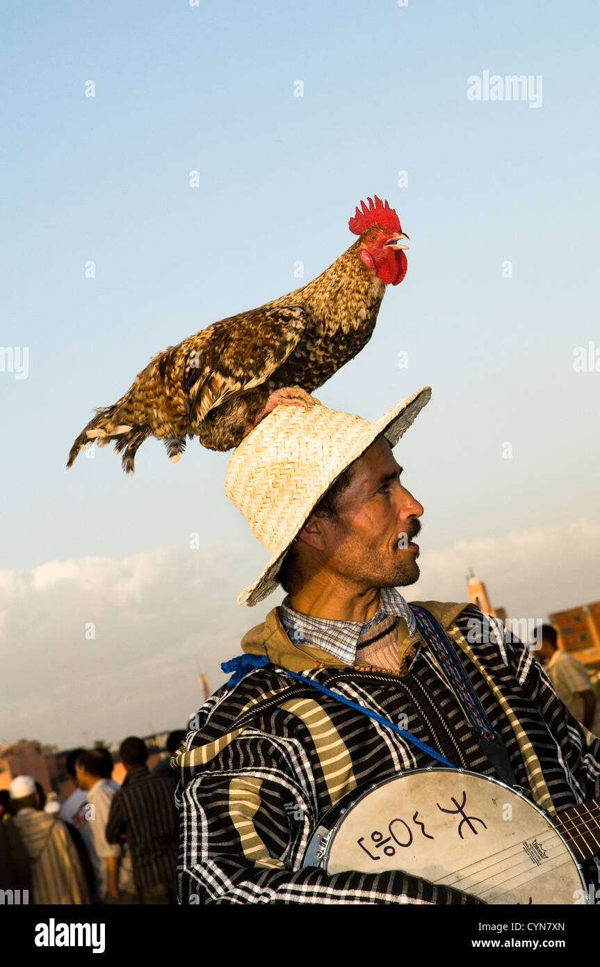 Ein Mann und sein Hahn. Djemma el Fna, Marrakesch, Marokko. Stockfoto