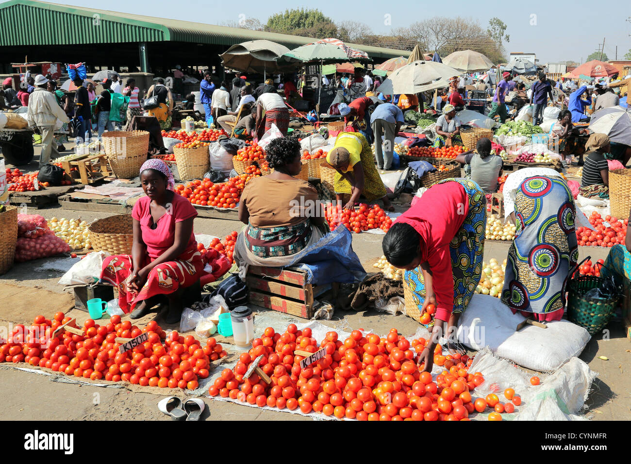 Weibliche Anbieter mit Displays von Gemüse auf dem alten Soweto-Markt in Lusaka, Sambia Stockfoto