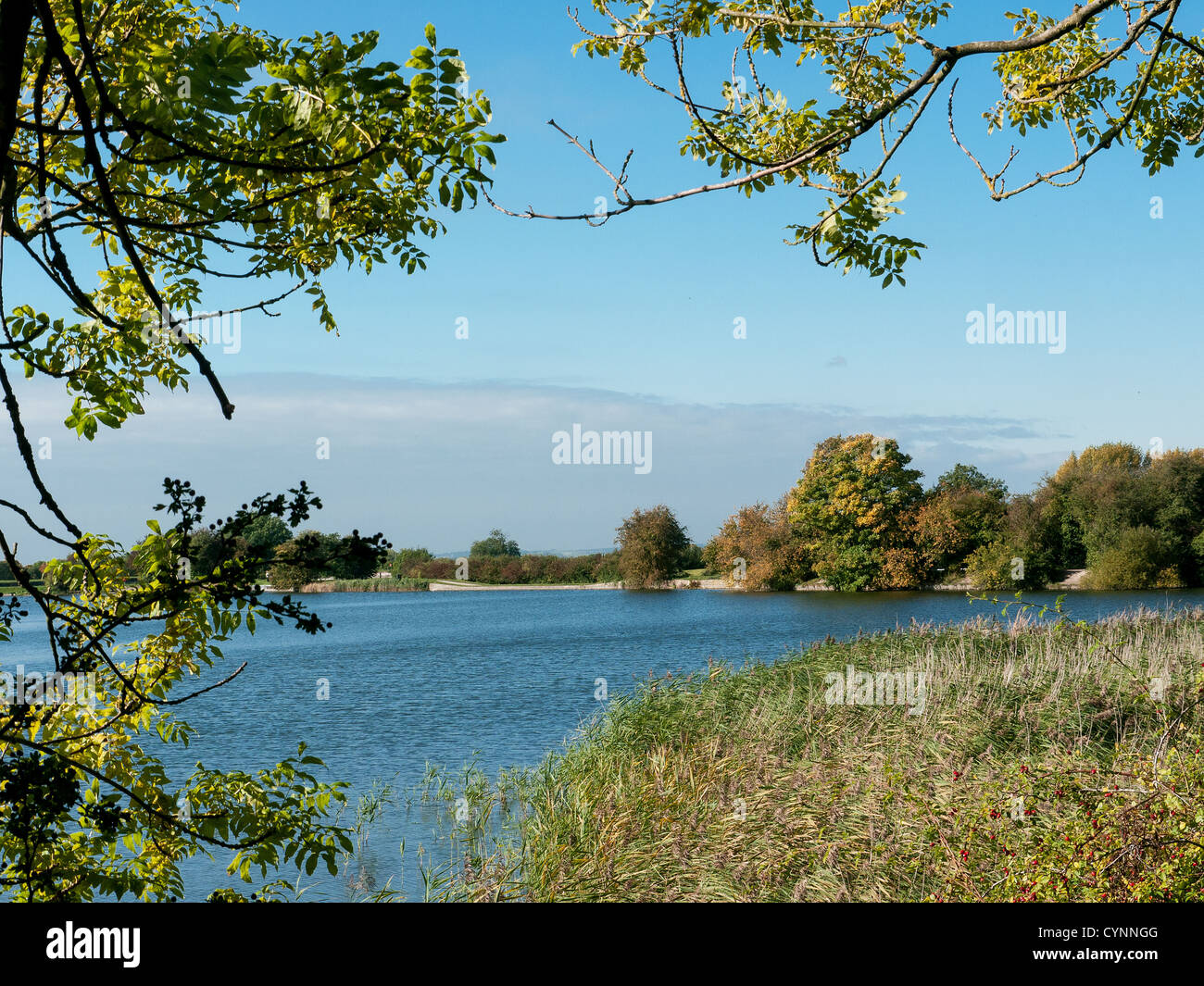 Eine frühe Herbst-Szene über die Seen und Stauseen von Tring und Marsworth, Buckinghamshire, Großbritannien Stockfoto