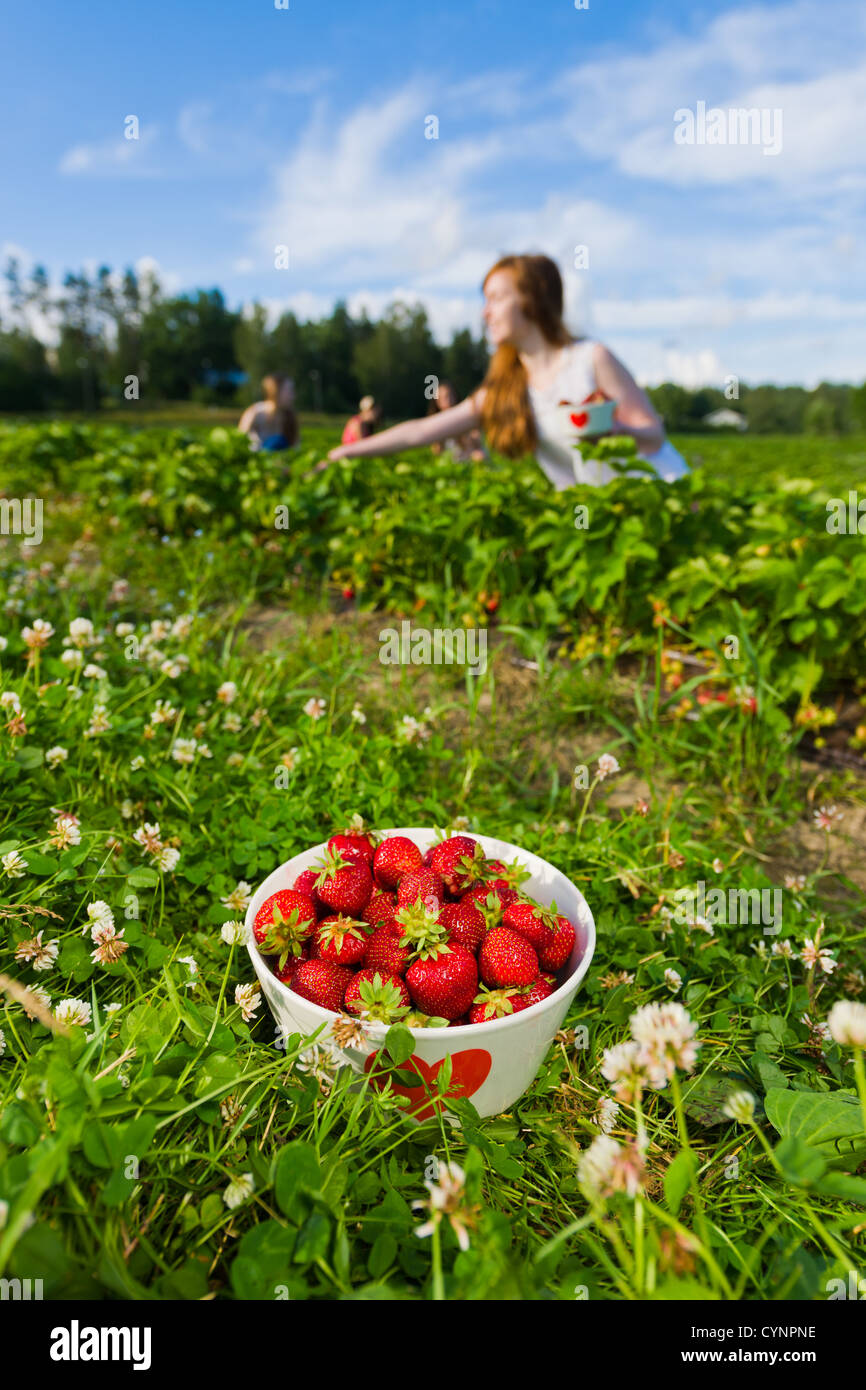 Volle Schüssel Erdbeeren. Schüssel und Gruppe von Mädchen hinter Hochformat im Fokus Stockfoto