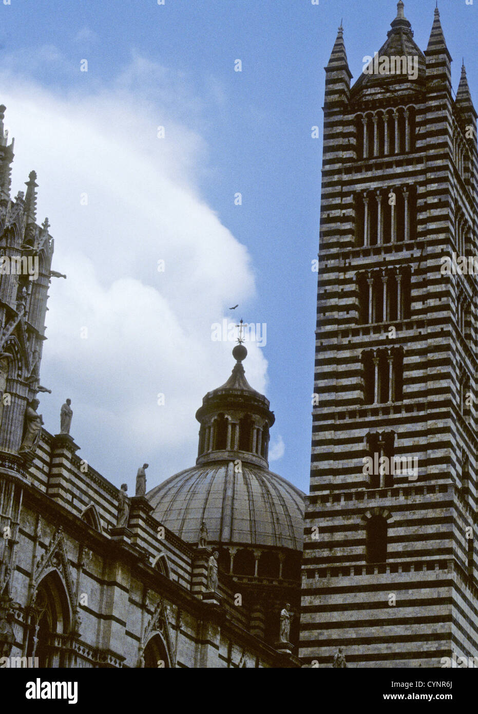 Siena und die umliegende Landschaft 07 / 1994 Digital Dia Konvertierungen, Piazza del Campo, Heimat der Palio, Pferderennen, Italien Stockfoto