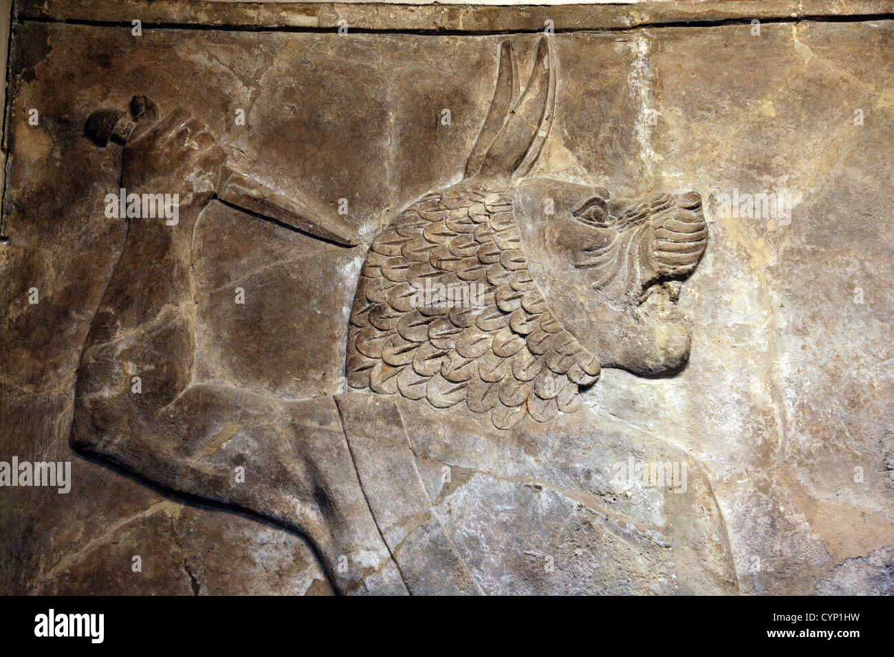 Relief eines assyrischen Gottes mit PUMA Kopf Stockfoto
