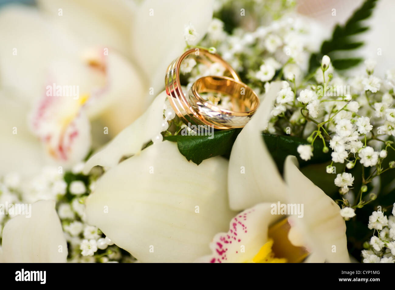 Zwei goldene Hochzeit Ringe auf Blüten Makroaufnahme Stockfoto