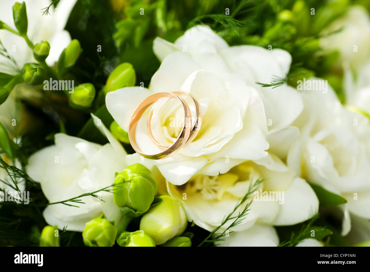 Zwei goldene Hochzeit Ringe auf Blüten Makroaufnahme Stockfoto