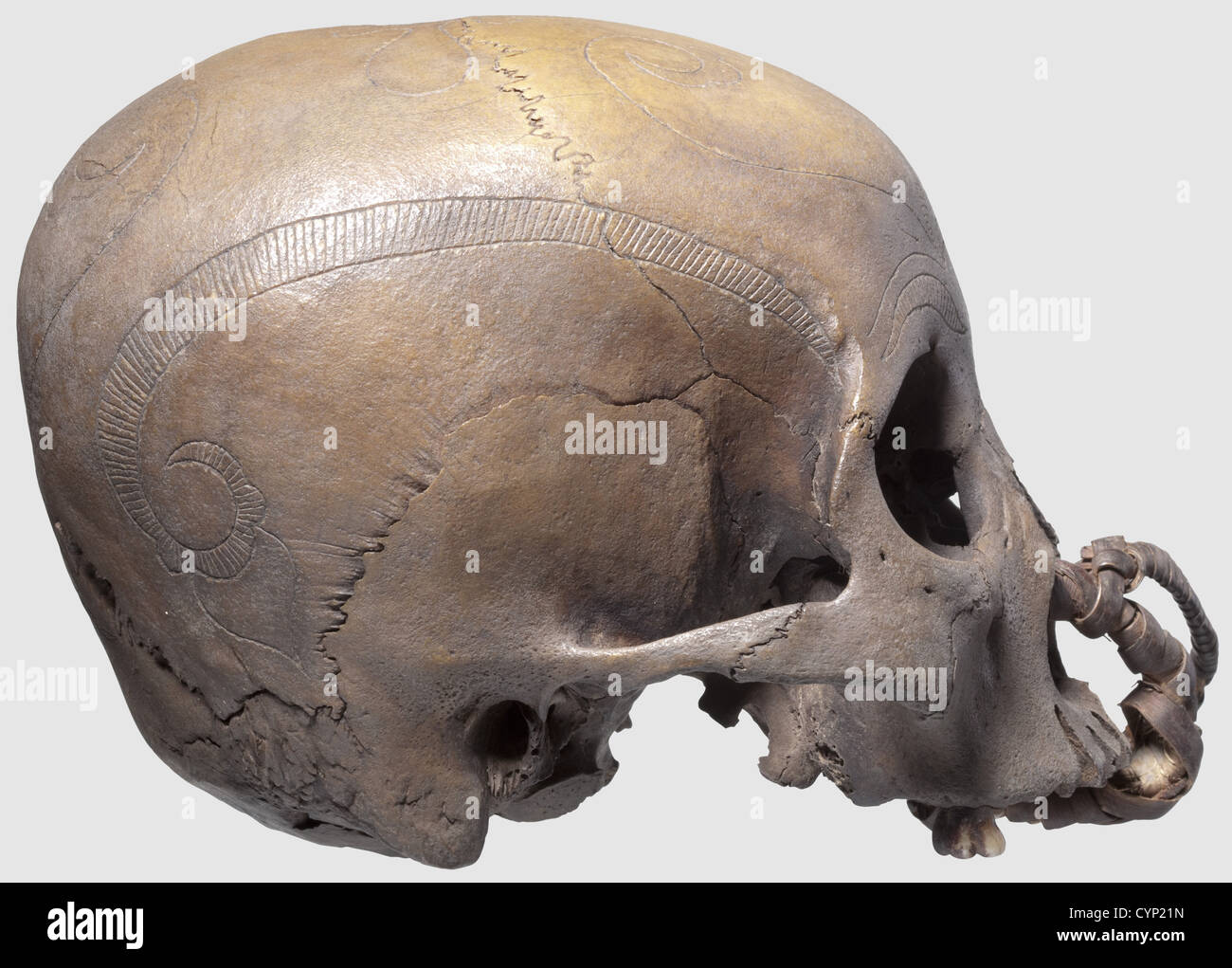 Eine Schädeltrophäe des Kayan Stammes, Borneo. Ornamental gravierter Schädel fehlt der Unterkiefer, mit doppeltem Ring aus Rattannetz um den palatin Knochen und die Nasenlöcher. Der ganze Schädel hat eine helle, gleichmäßige Patina, deutliche Altersspuren an den Gesichtsknochen und den Schläfenknochen. Höhe 13 cm. Mittels der kunstvoll geflochtenen Rattanringe wurden die Schädeltrophäen einzeln oder als Bündel im Herrenhaus des Stammes aufgehängt. Herkunft: Aus einer belgischen Privatsammlung,historisch,historisch,Menschen,indonesischer Archipel,Indonesien,Ferner Osten,Asi,Additional-Rights-Clearences-nicht verfügbar Stockfoto