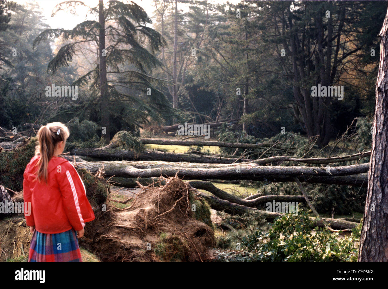 Schäden an den Bäumen im Alexandra Park, Hastings, während der Hurrikan, der im Süden am 15. Oktober 1987 gefegt. Stockfoto