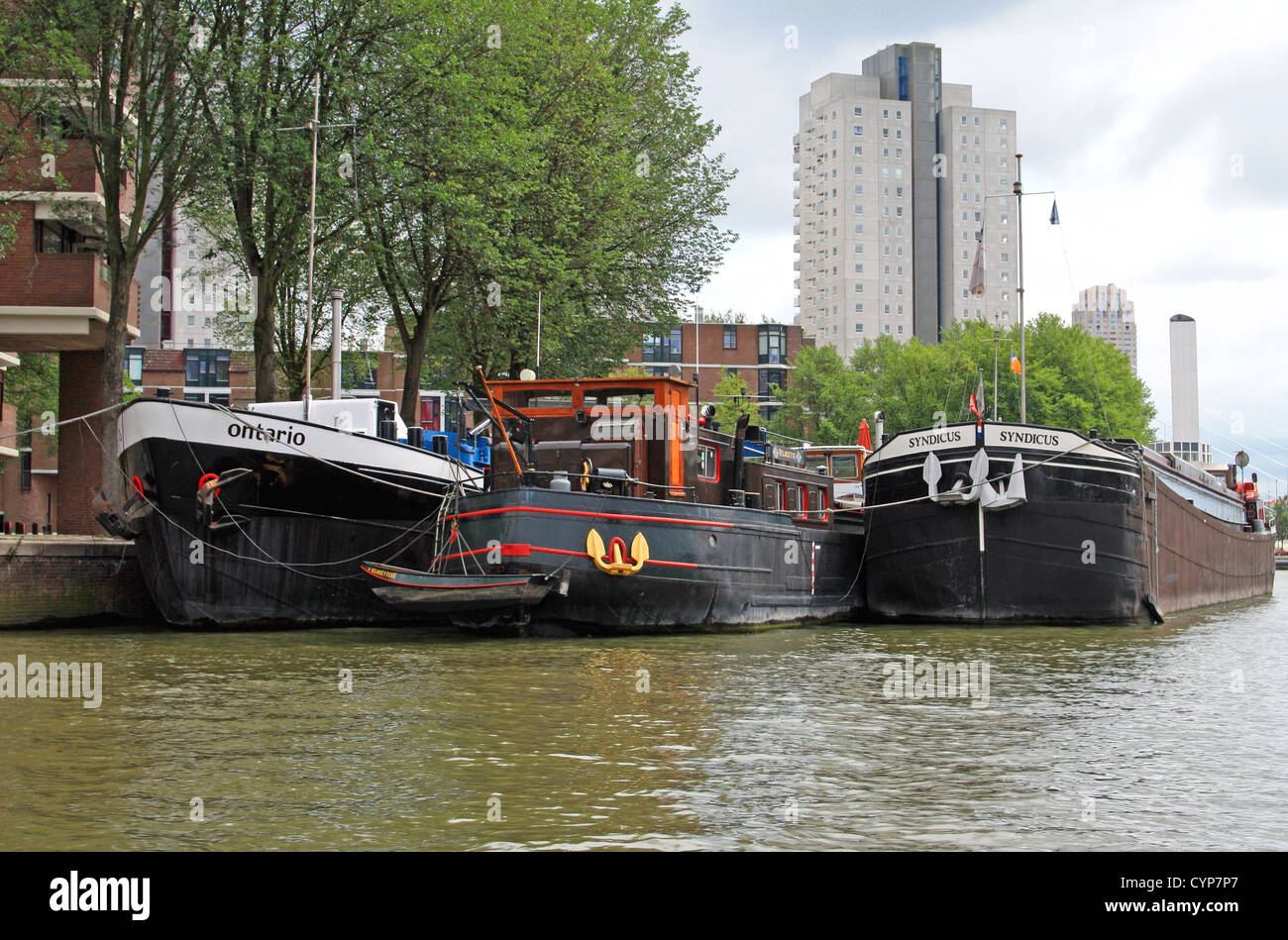 Leuvehaven Hafen, Rotterdam, Niederlande Stockfoto