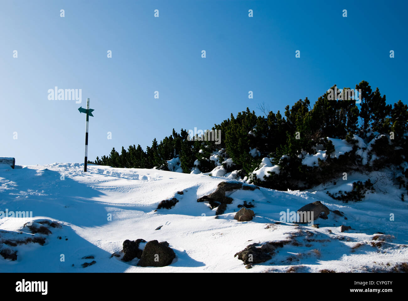 Berglandschaft im Bucegi Gebirge Stockfoto
