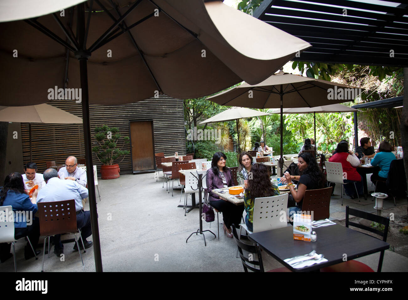 Aß Y Mecate Restaurant in Condesa - Mexiko-Stadt DF Stockfoto