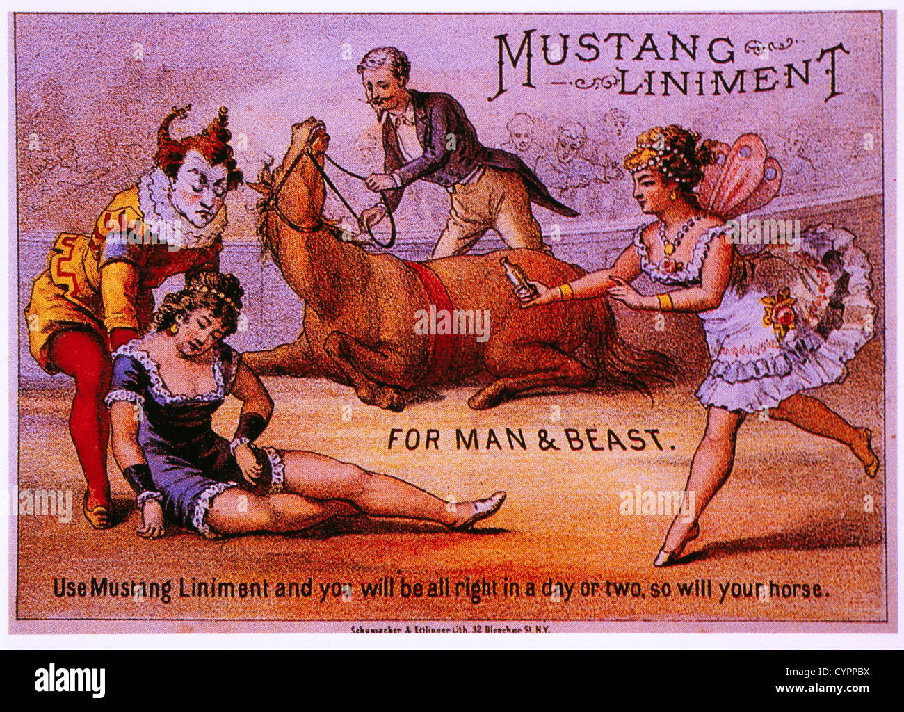 Mustang-Liniment für Mensch und Tier, Handel Karte, 1885 Stockfoto