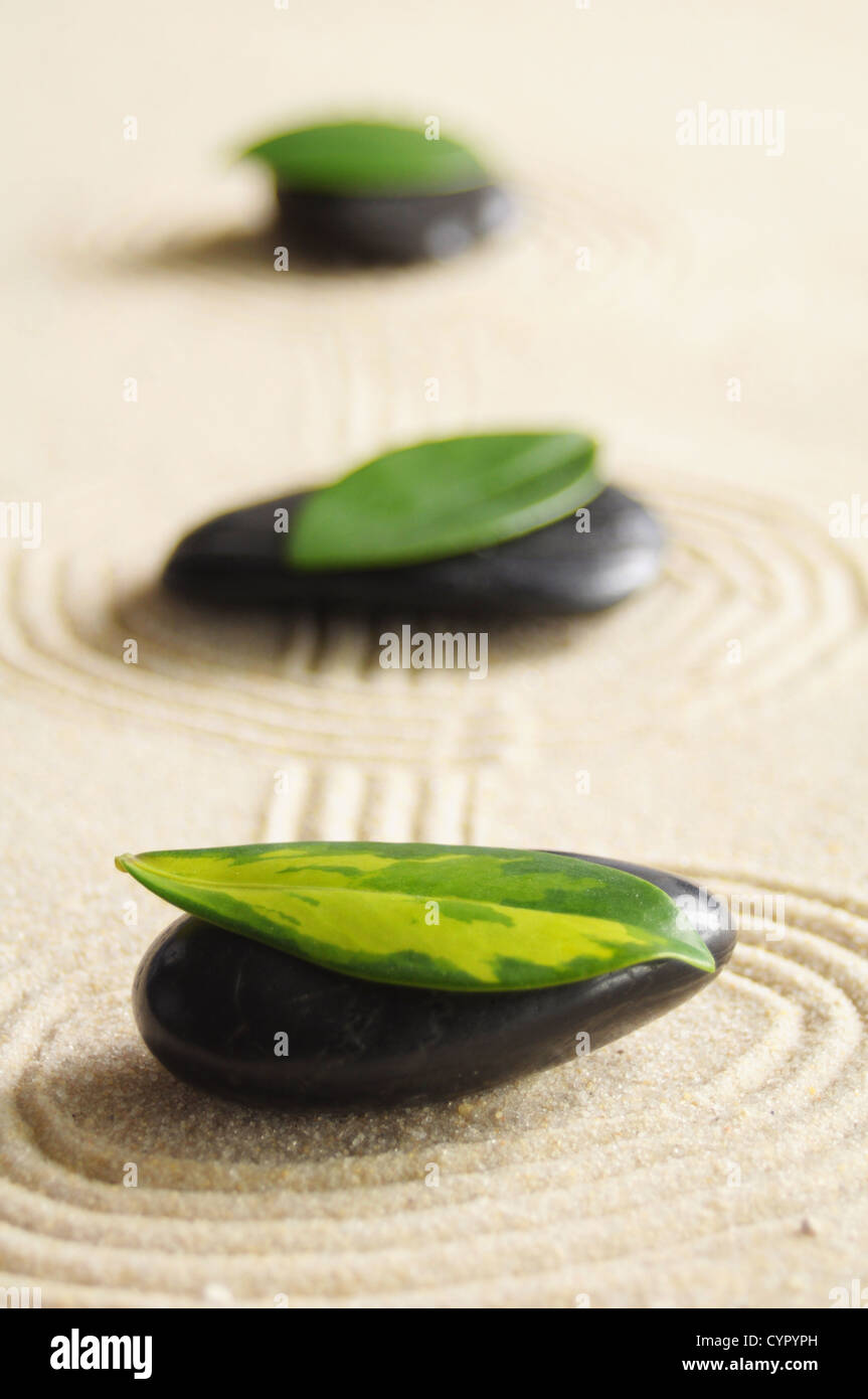 Zen-Stillleben mit Sand und grünes Blatt mit Wellness-Konzept Stockfoto