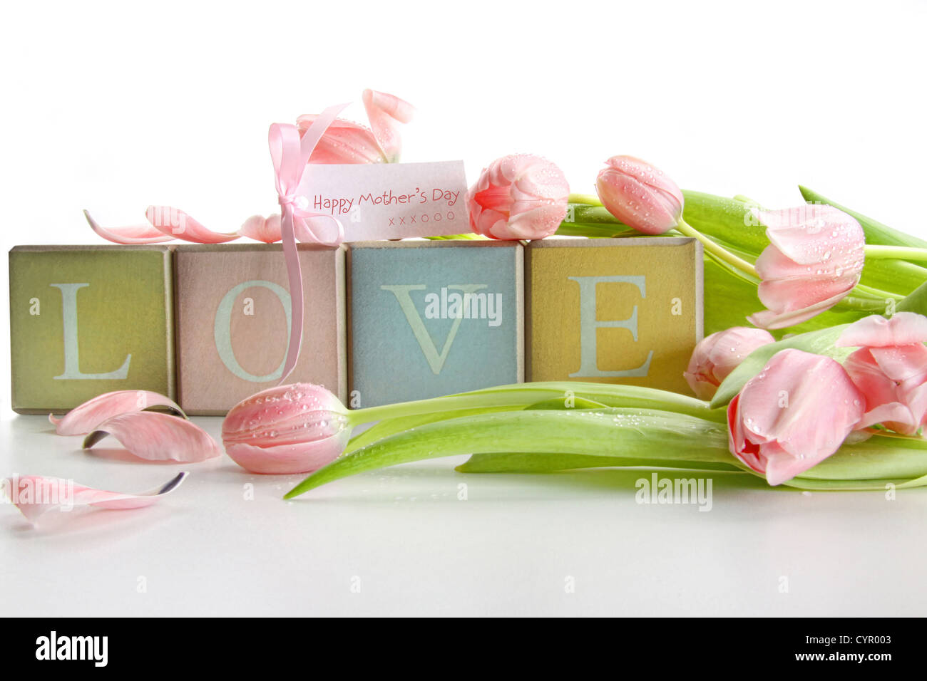 Farbige Blöcke mit Tulpen und Geschenkkarte auf weiß Stockfoto