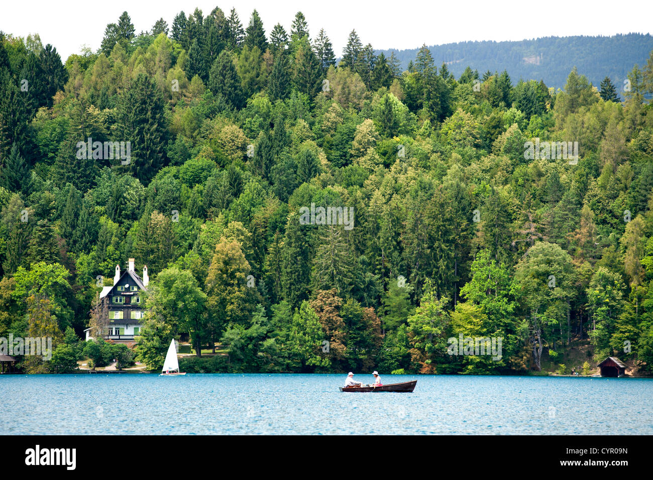 Die bewaldeten Ufer des Bleder See in den Julischen Alpen im Nordwesten Sloweniens. Stockfoto