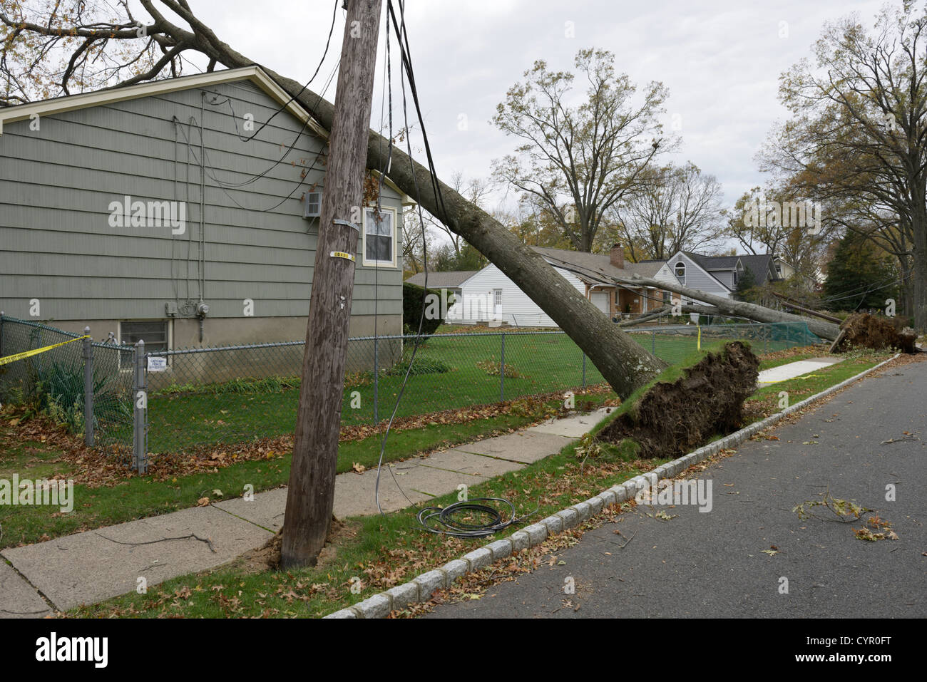 Zerstörung, Häuser, Bäume und Stromleitungen verursacht durch Hurrikan Sandy, Norden von New Jersey Stockfoto