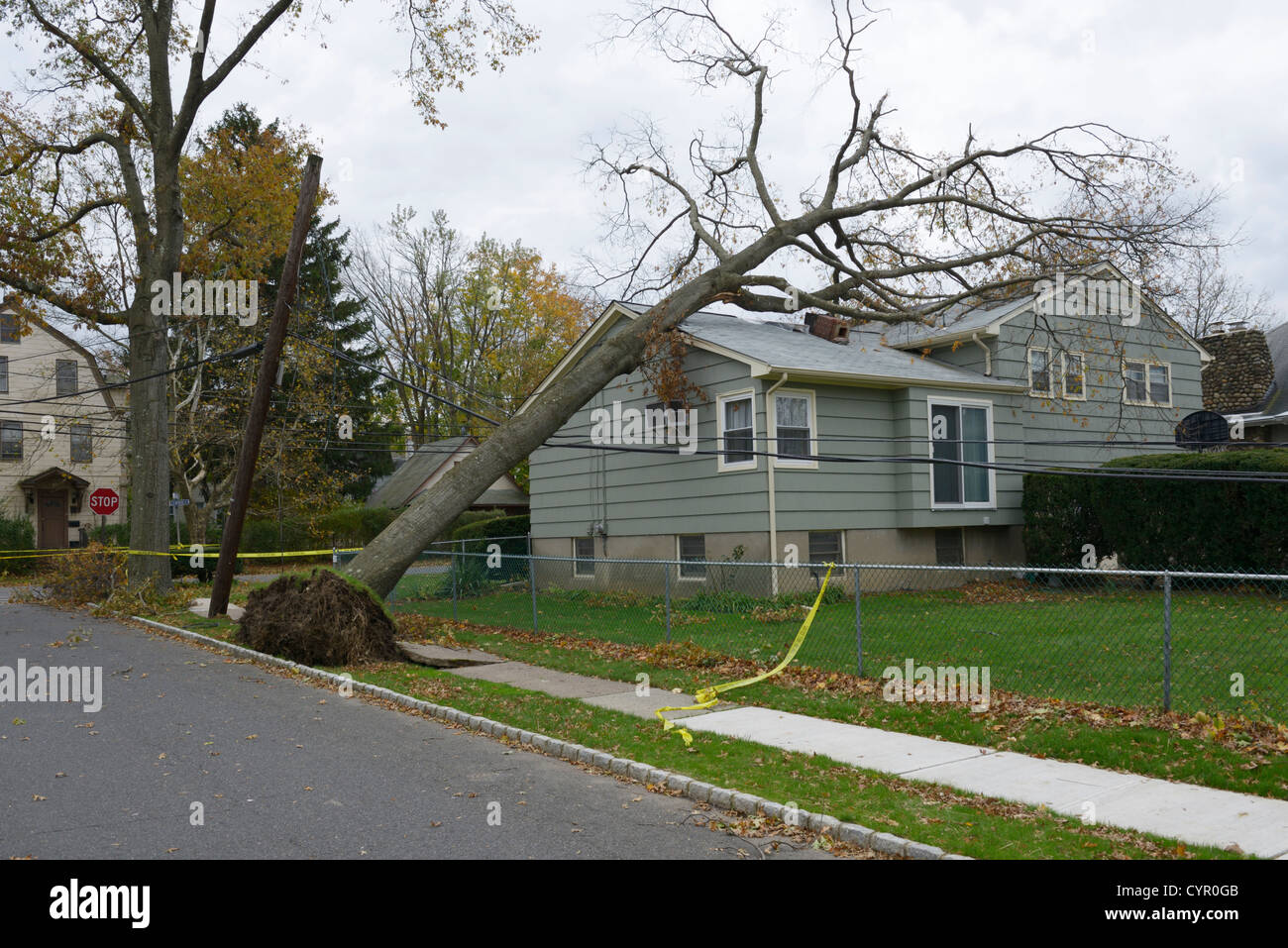 Zerstörung, Häuser, Bäume und Stromleitungen verursacht durch Hurrikan Sandy, Norden von New Jersey Stockfoto