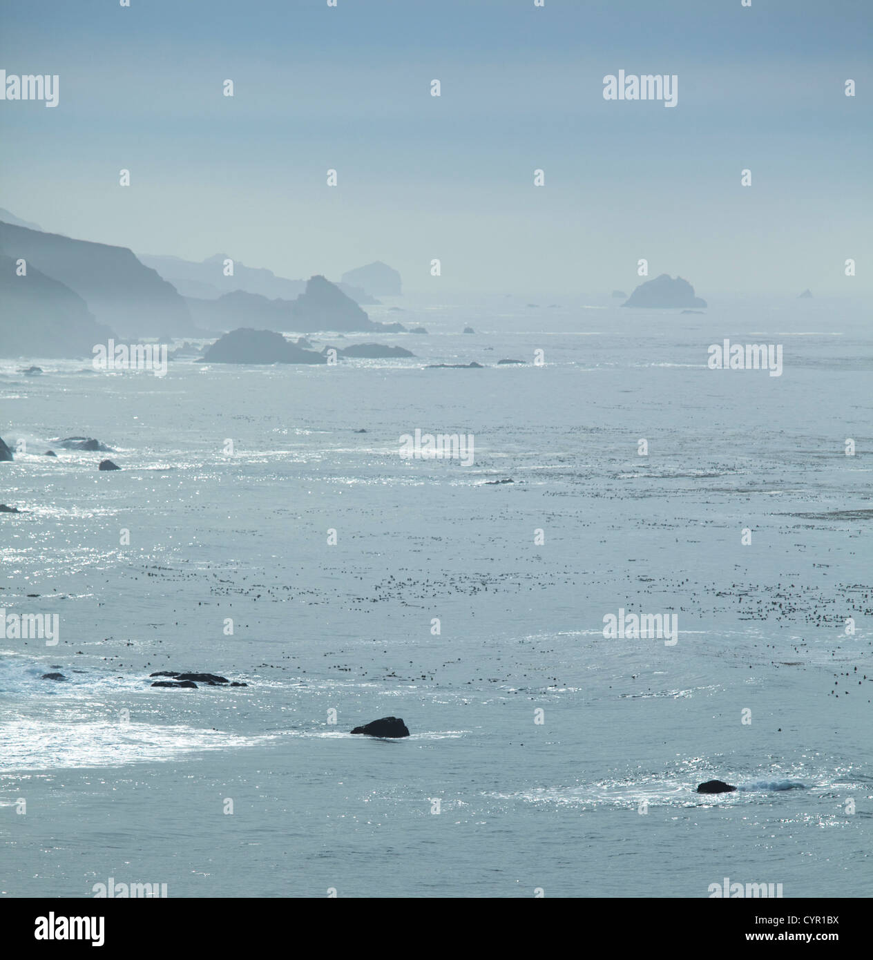 Nebligen Meer Stockfoto