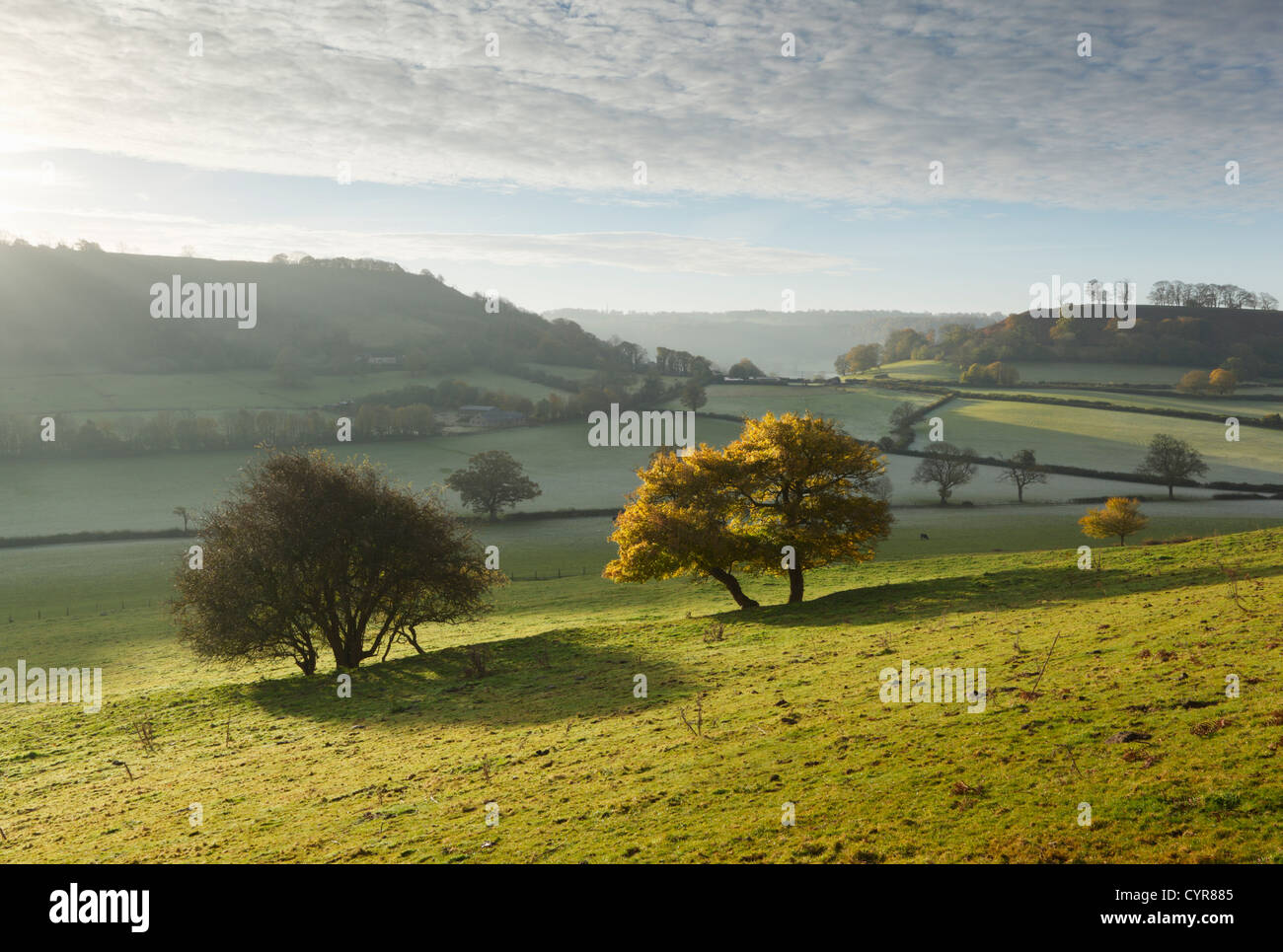 Cotswold Landschaft im Herbst.  Gloucestershire. England. VEREINIGTES KÖNIGREICH. Stockfoto