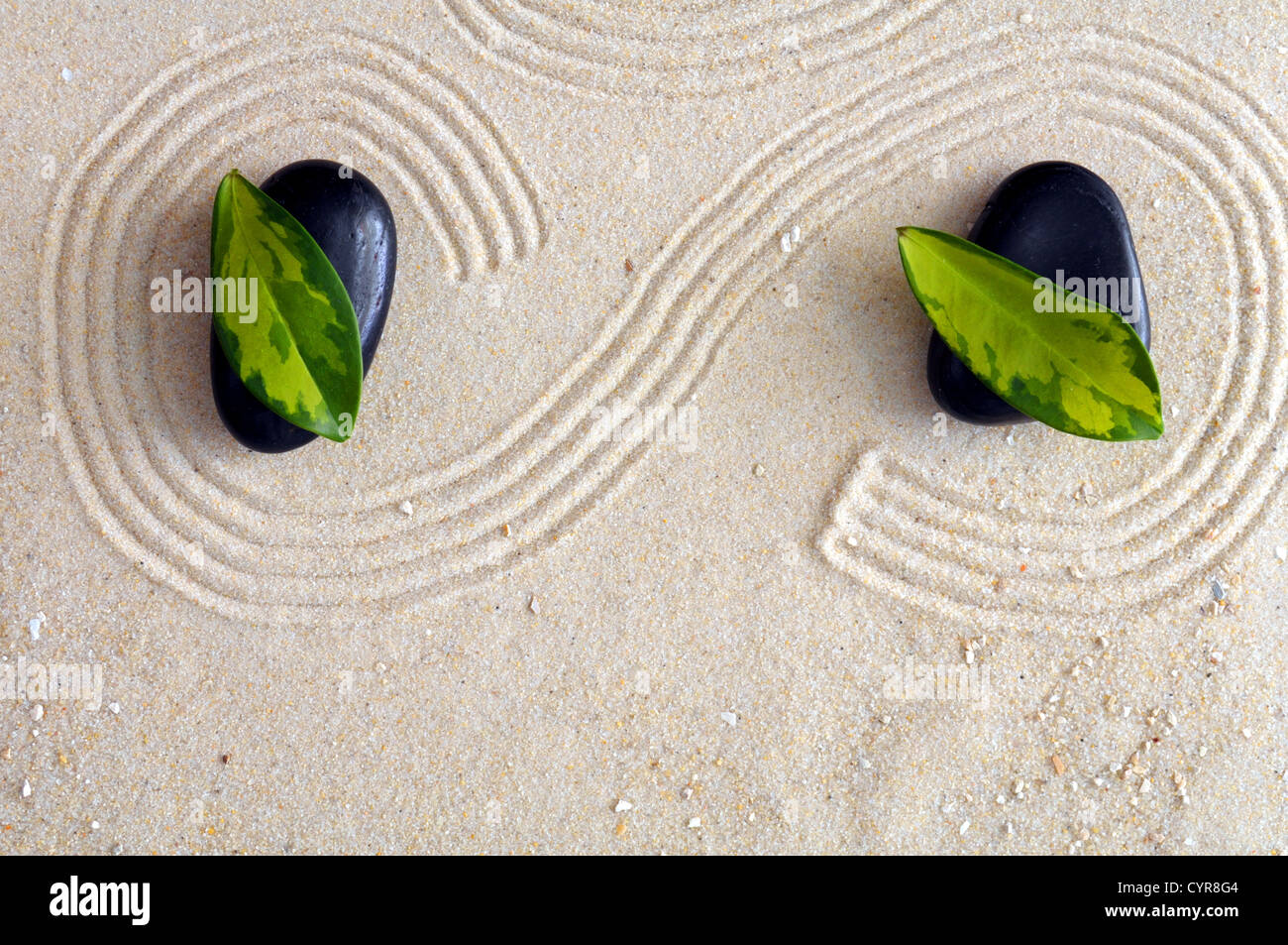 Zen-Stillleben mit Sand und grünes Blatt mit Wellness-Konzept Stockfoto